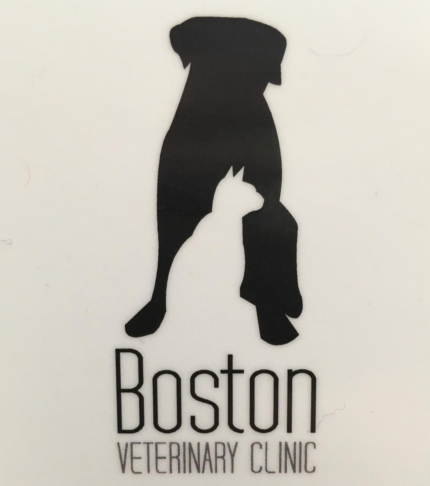 Boston Veterinary Clinic