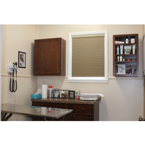 office_04